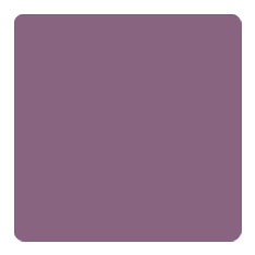 12 Jersey purple